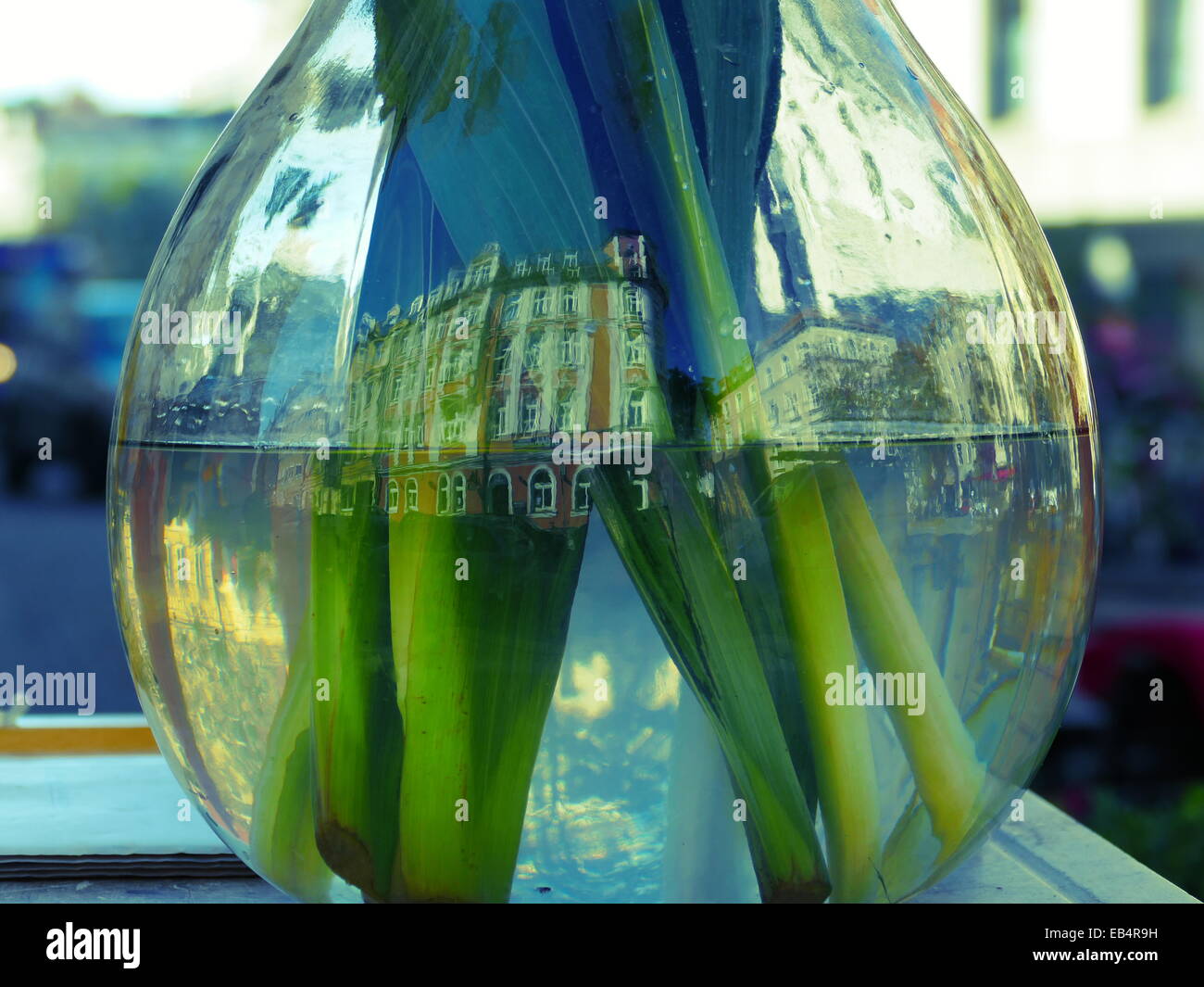 Reflection of building on glass flower vase Stock Photo - Alamy