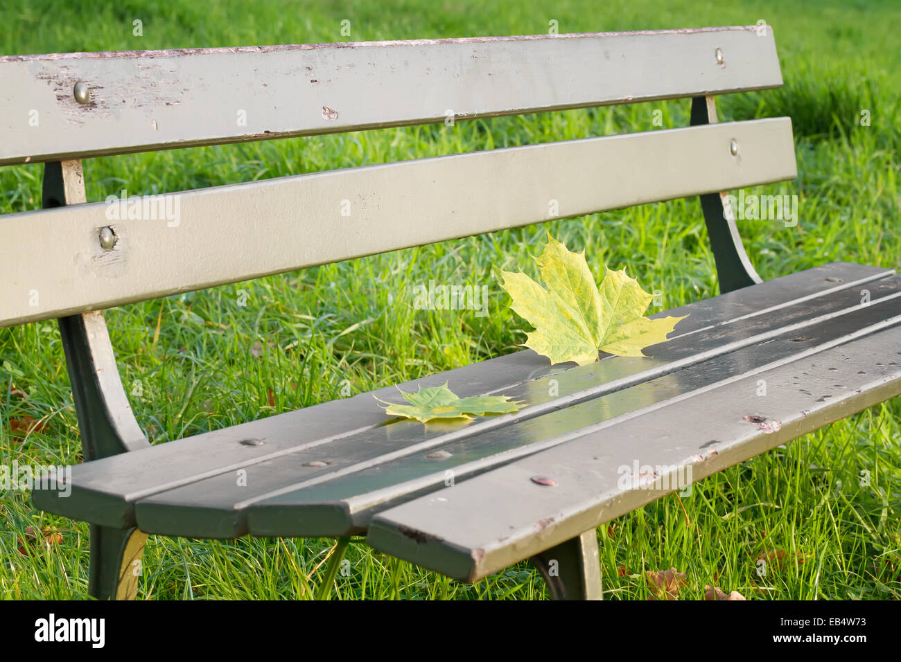 Autumn leaves on a park bench Stock Photo - Alamy