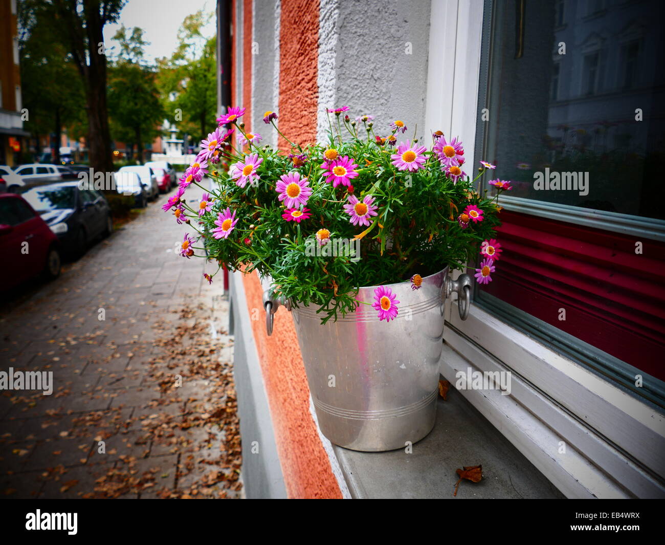 Flowers pot on band of Window Stock Photo