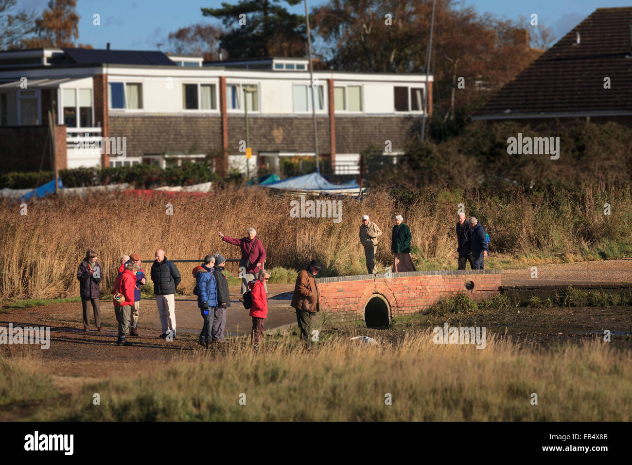 Group of middle aged walkers in winter sunshine Stock Photo