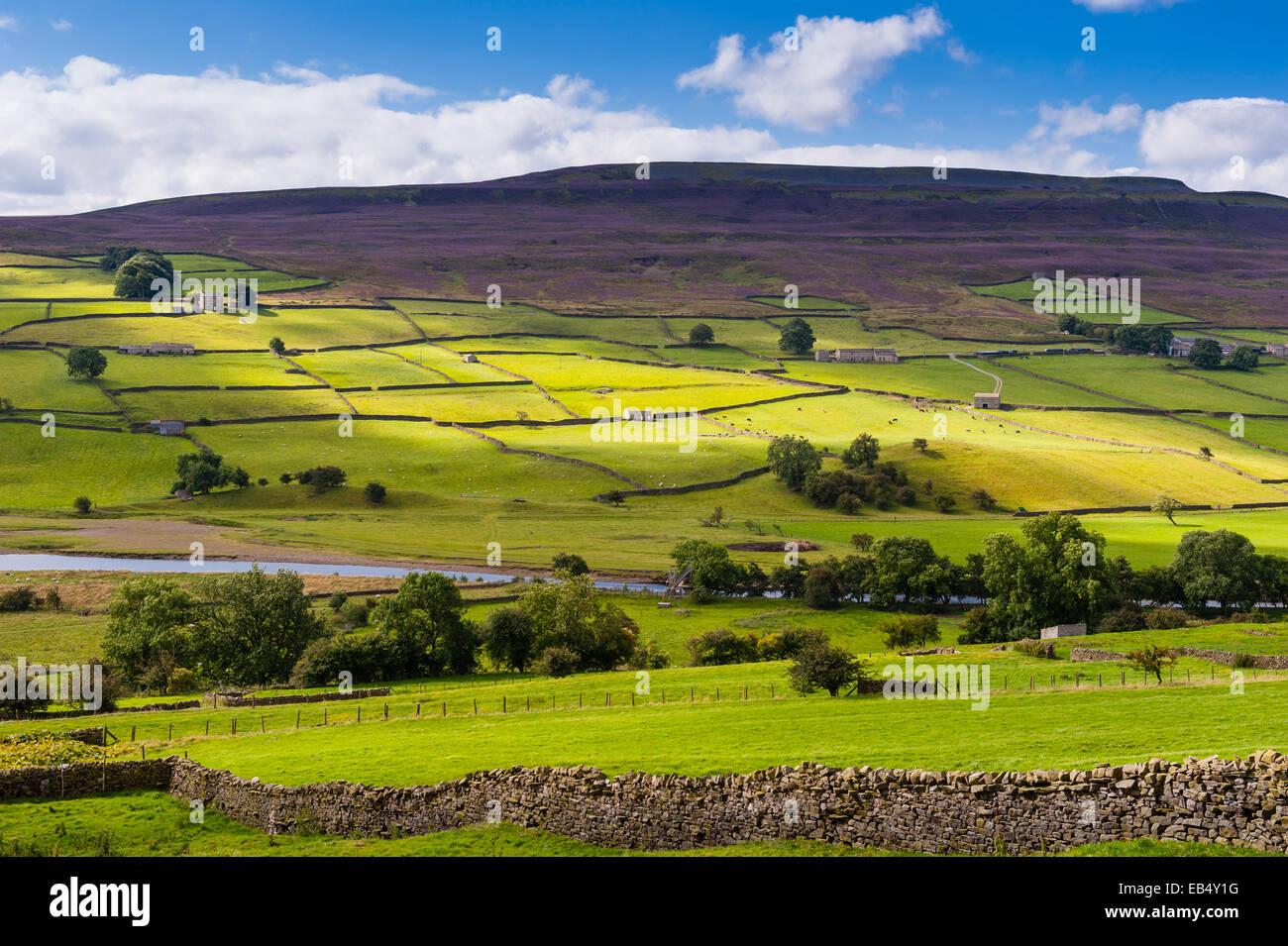 Swaledale in the Yorkshire Dales in Yorkshire , England , Britain , Uk Stock Photo