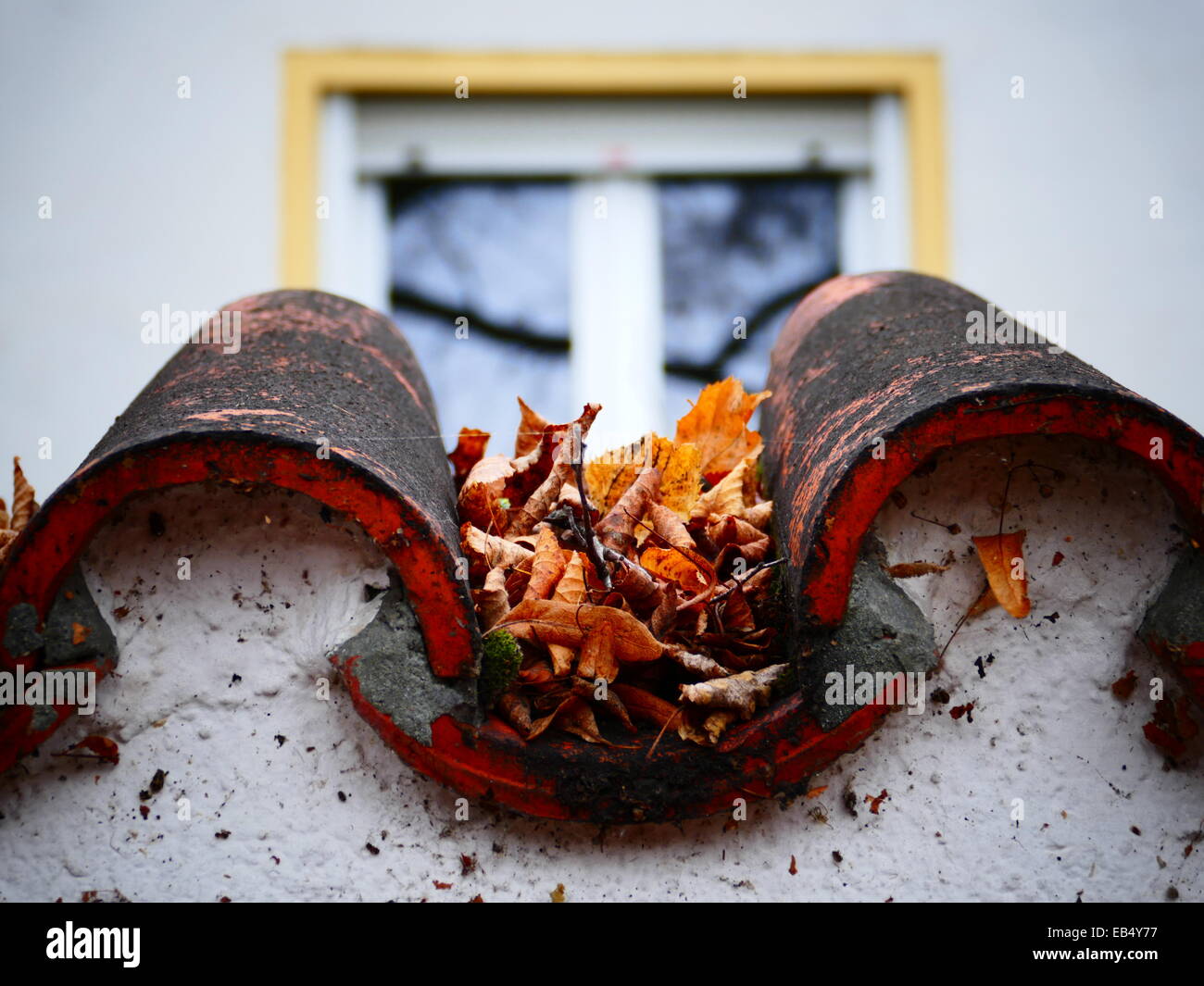 Autumn dead leaves on roof tiles Stock Photo