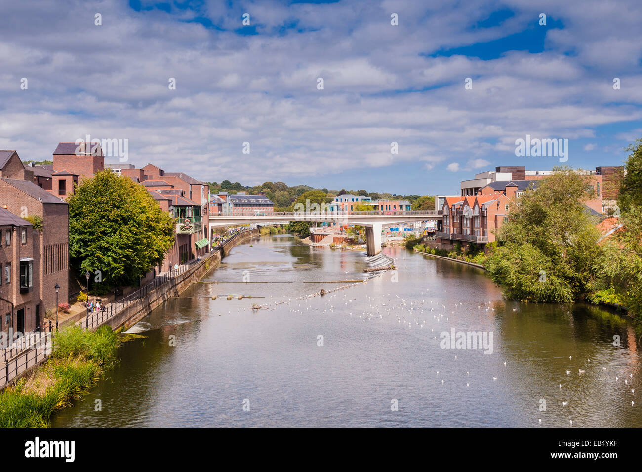 The River Wear in Durham , England , Britain , Uk Stock Photo