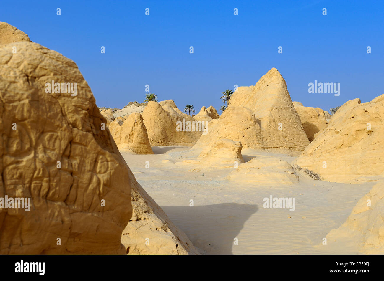 South of Tunisia, Sahara desert,the petrified dune of Debebcha Stock Photo