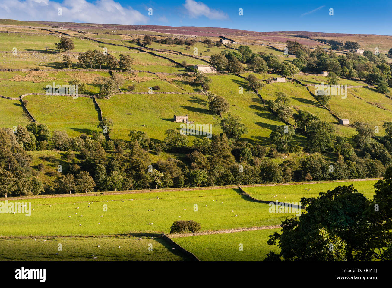 Swaledale in the Yorkshire Dales in Yorkshire , England , Britain , Uk Stock Photo