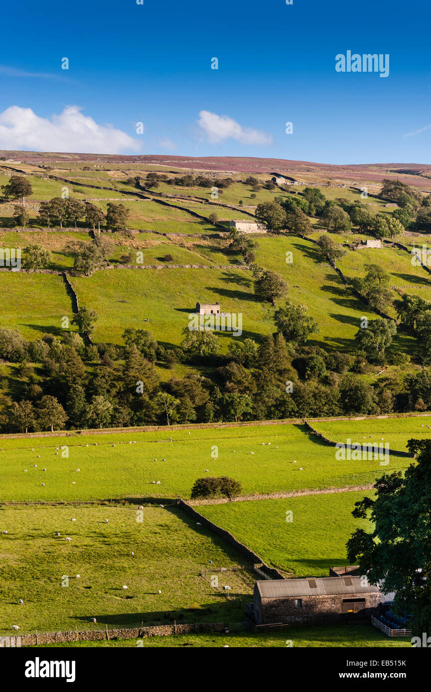 Swaledale in the Yorkshire Dales in Yorkshire , England , Britain , Uk Stock Photo