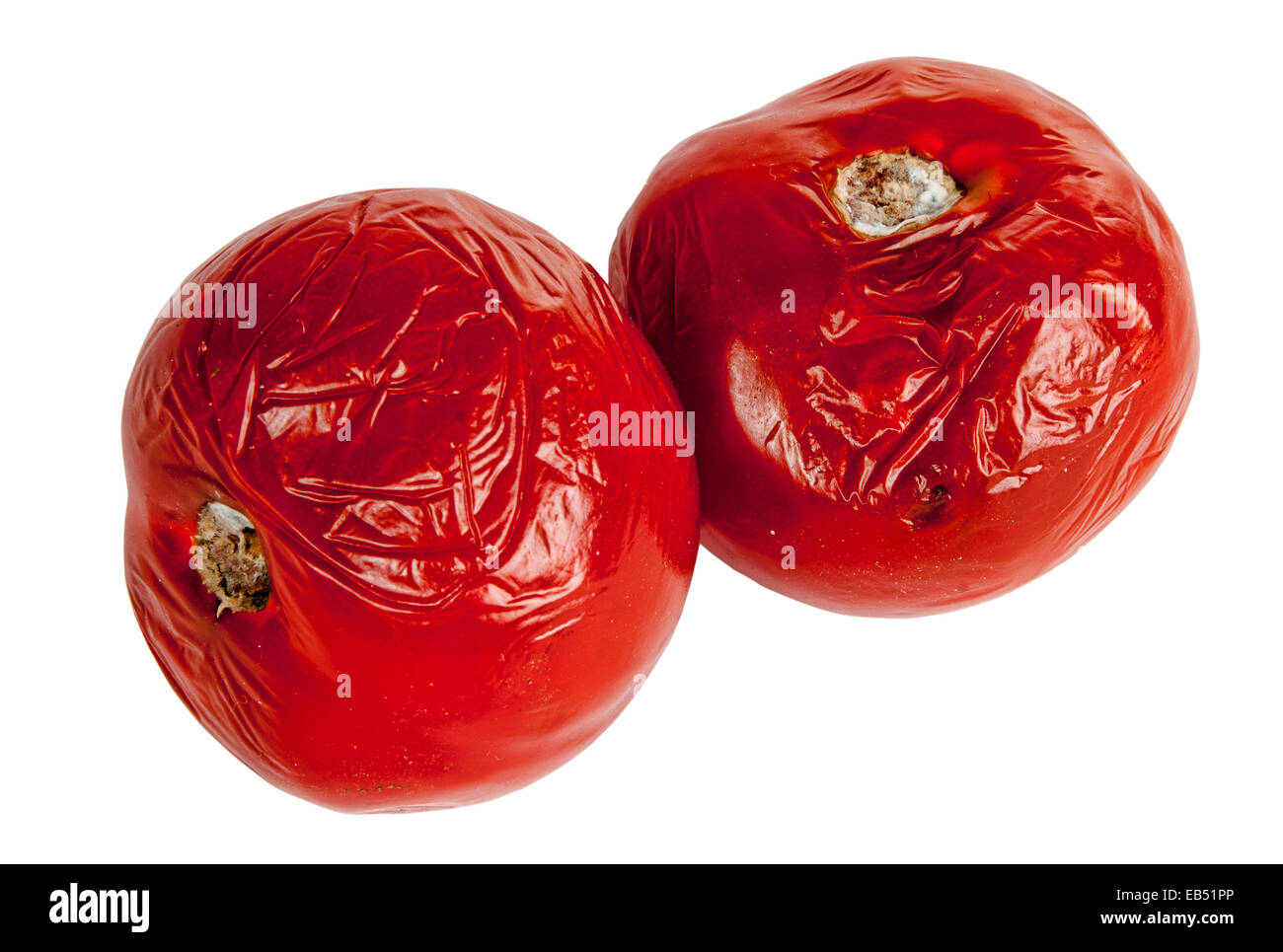 rotten tomatoes on the white background Stock Photo