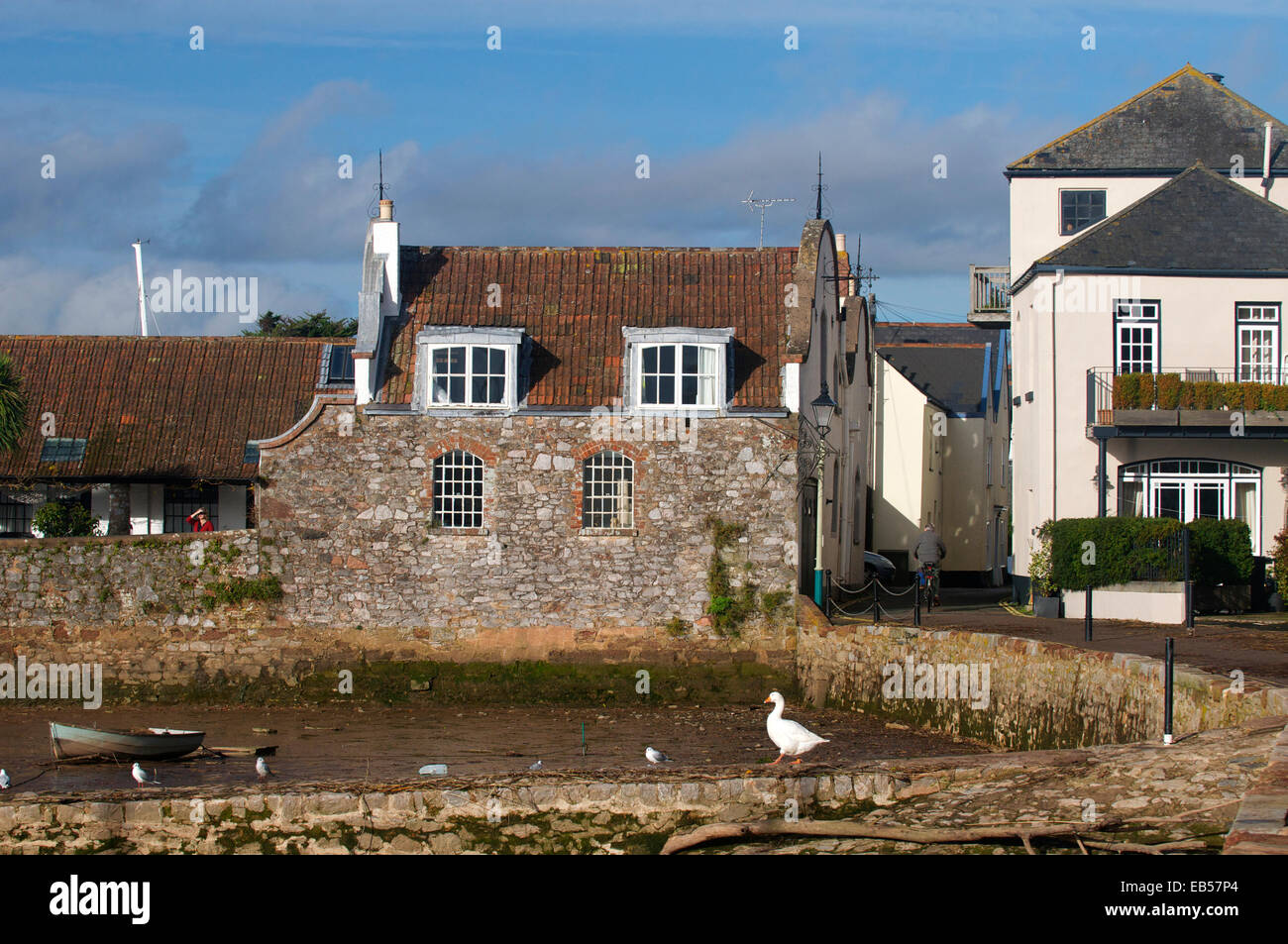 Dutchstyle houses at Topsham, Devon, UK Stock Photo Alamy