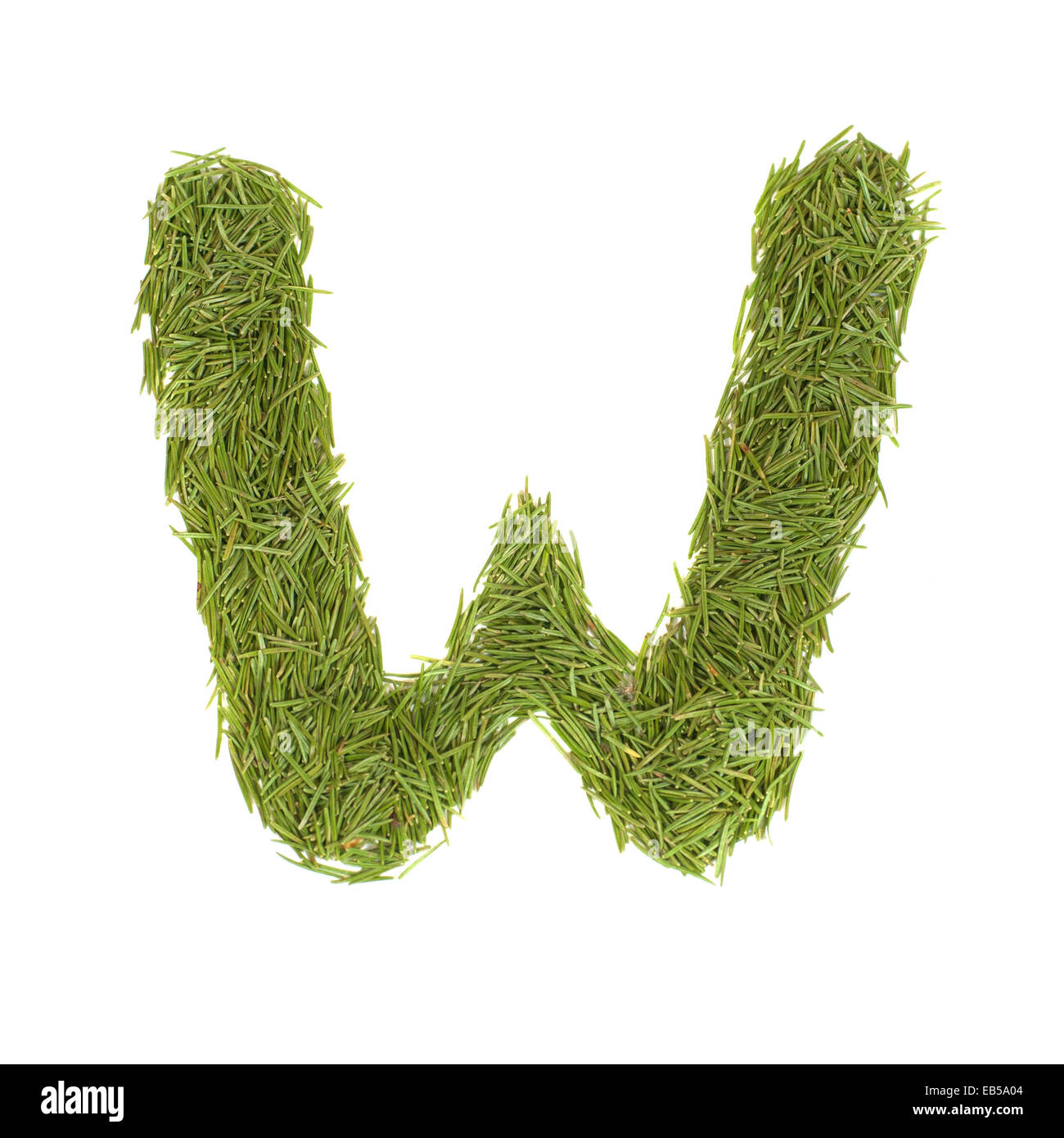 Green alphabet, letter W isolated on white Stock Photo - Alamy
