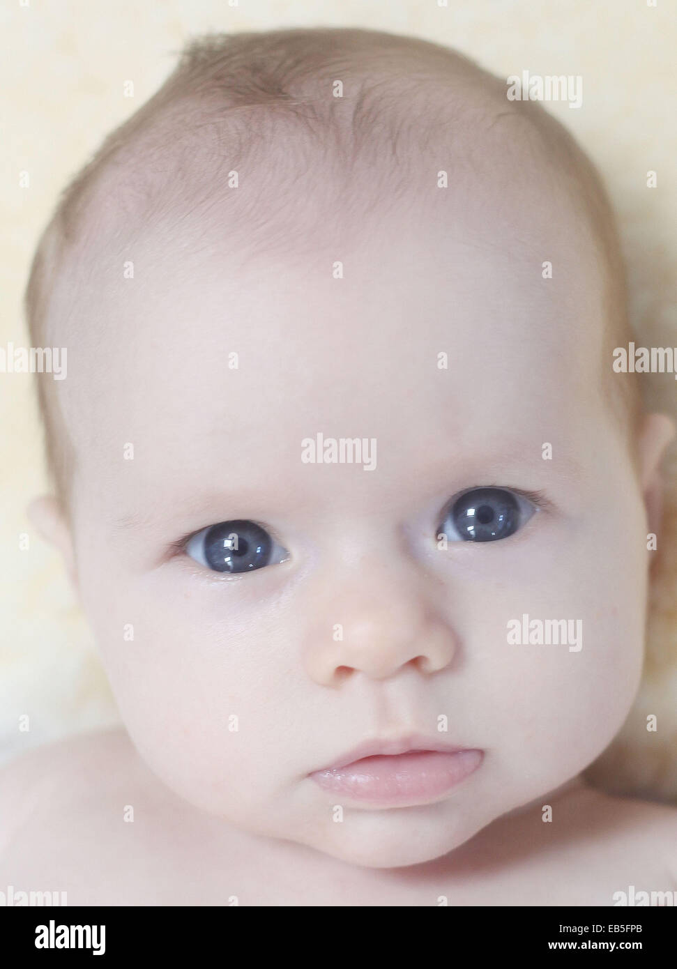 A nine week old baby girl with blue eyes. Stock Photo