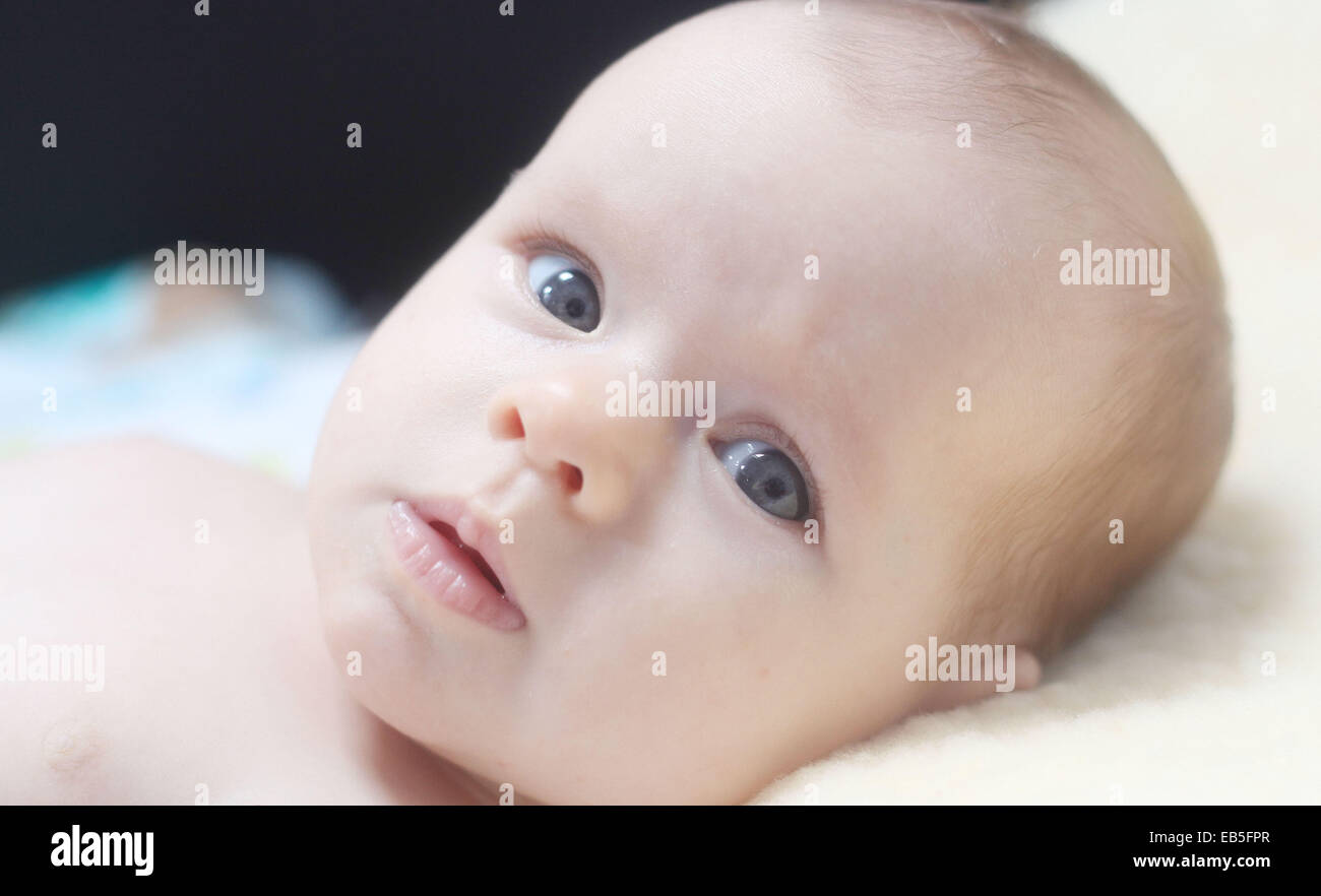 A nine week old baby girl. Stock Photo