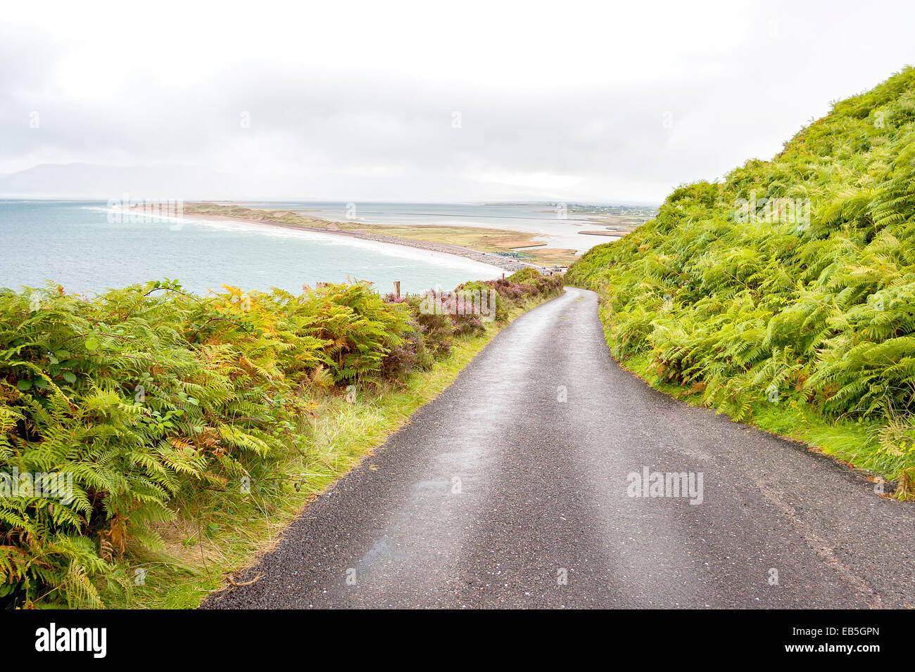 Ring of kerry and drive hires stock photography and images Alamy