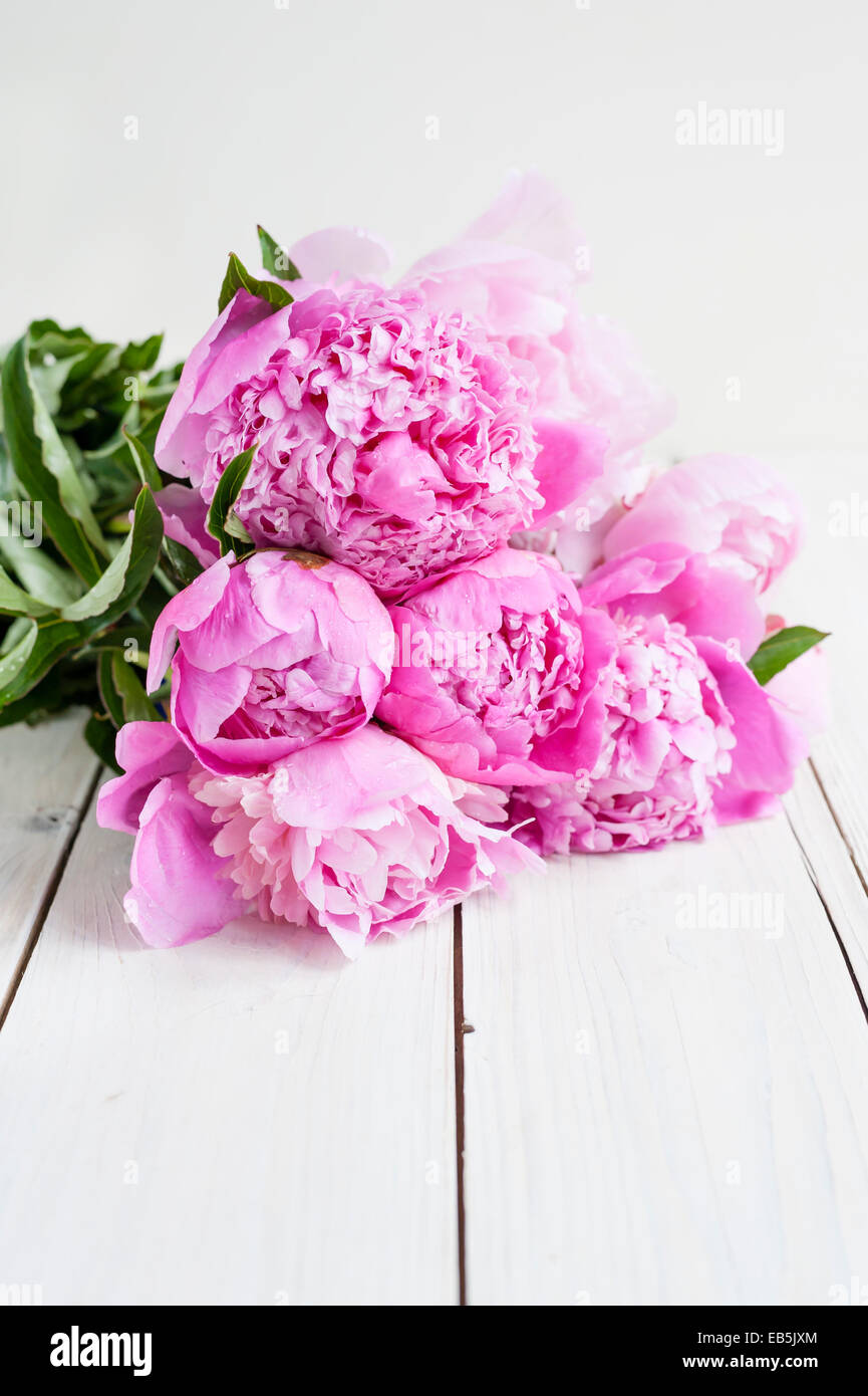 A bunch of pink sarah bernhardt cut out peonies on a white wooden table Stock Photo