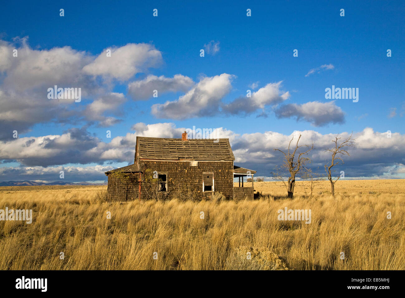 https://c8.alamy.com/comp/EB5MHJ/a-depression-era-farm-house-in-an-abandoned-wheat-field-near-madras-EB5MHJ.jpg