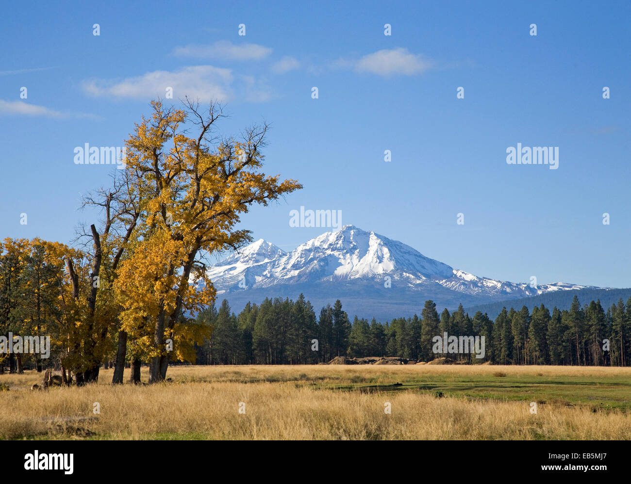A view of North sisters Peak in the Sisters Wilderness in the Central Oregon Cascade Mountains Stock Photo