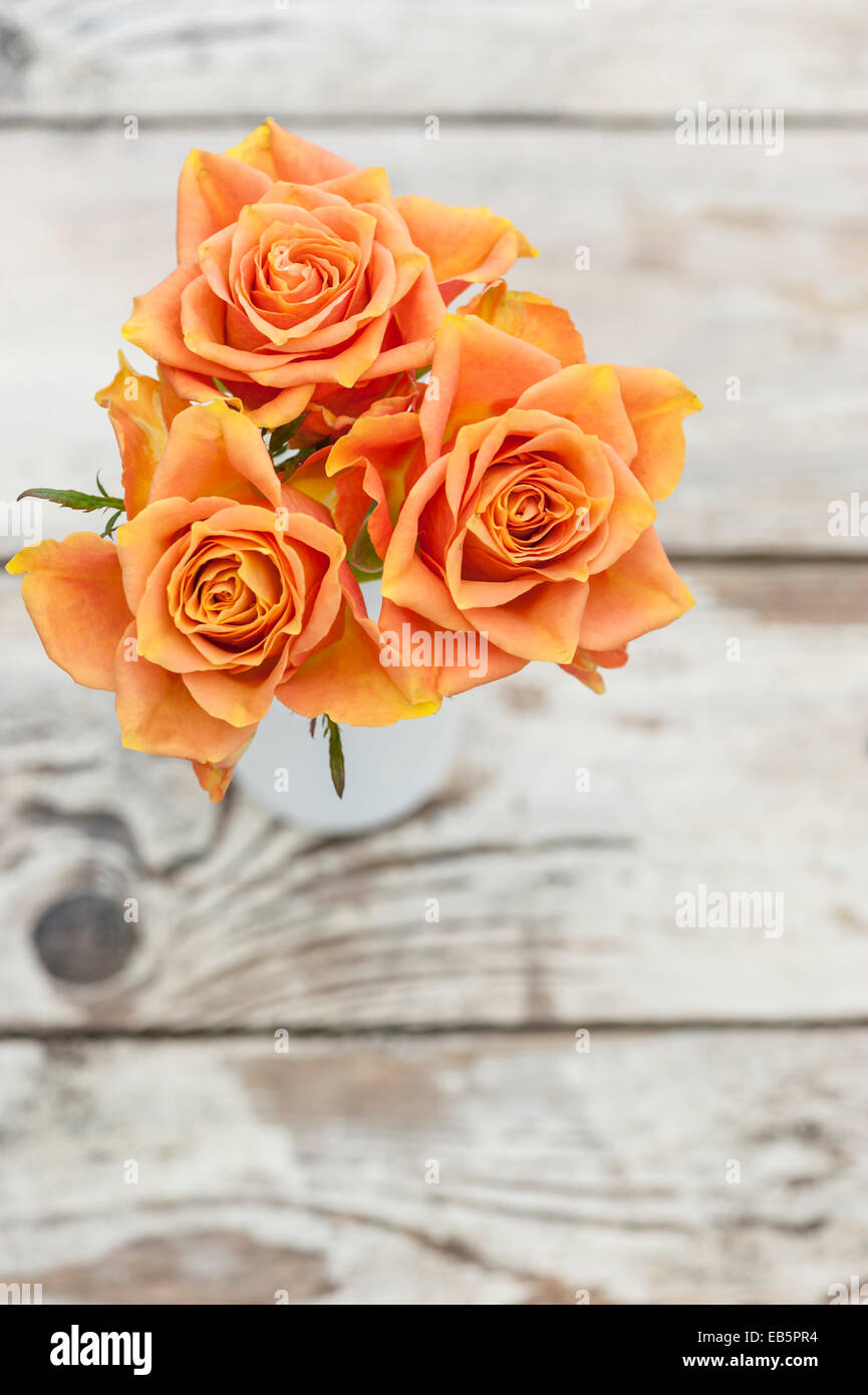 Three orange roses in a white bottle on a distressed wooden table Stock Photo