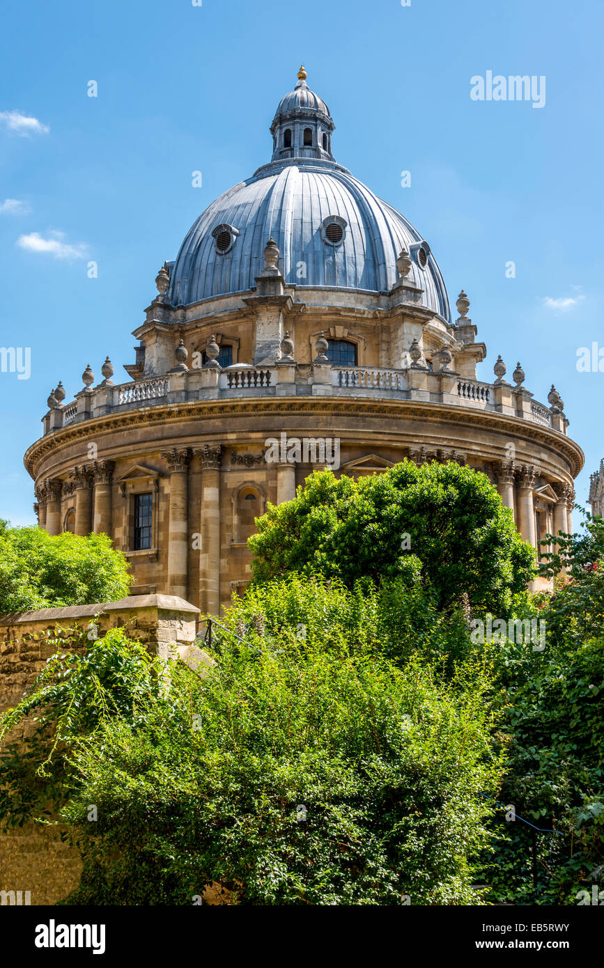 A view of the Radcliffe Camera from the Fellows' Garden of Exeter College Stock Photo