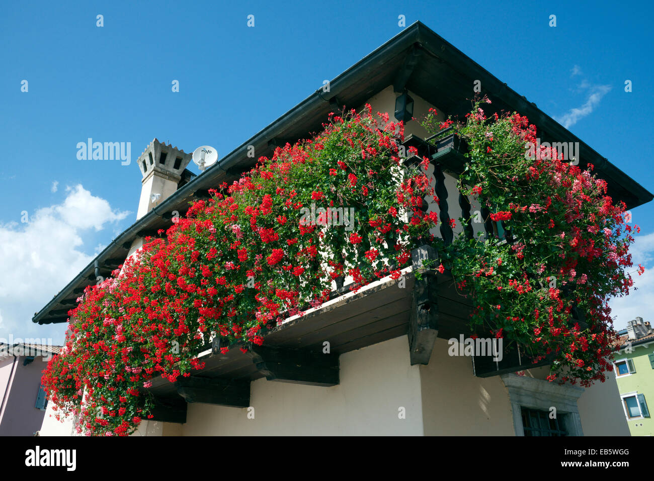 Geraniums Old Customs House Torbole Lake Garda Italy Stock Photo - Alamy