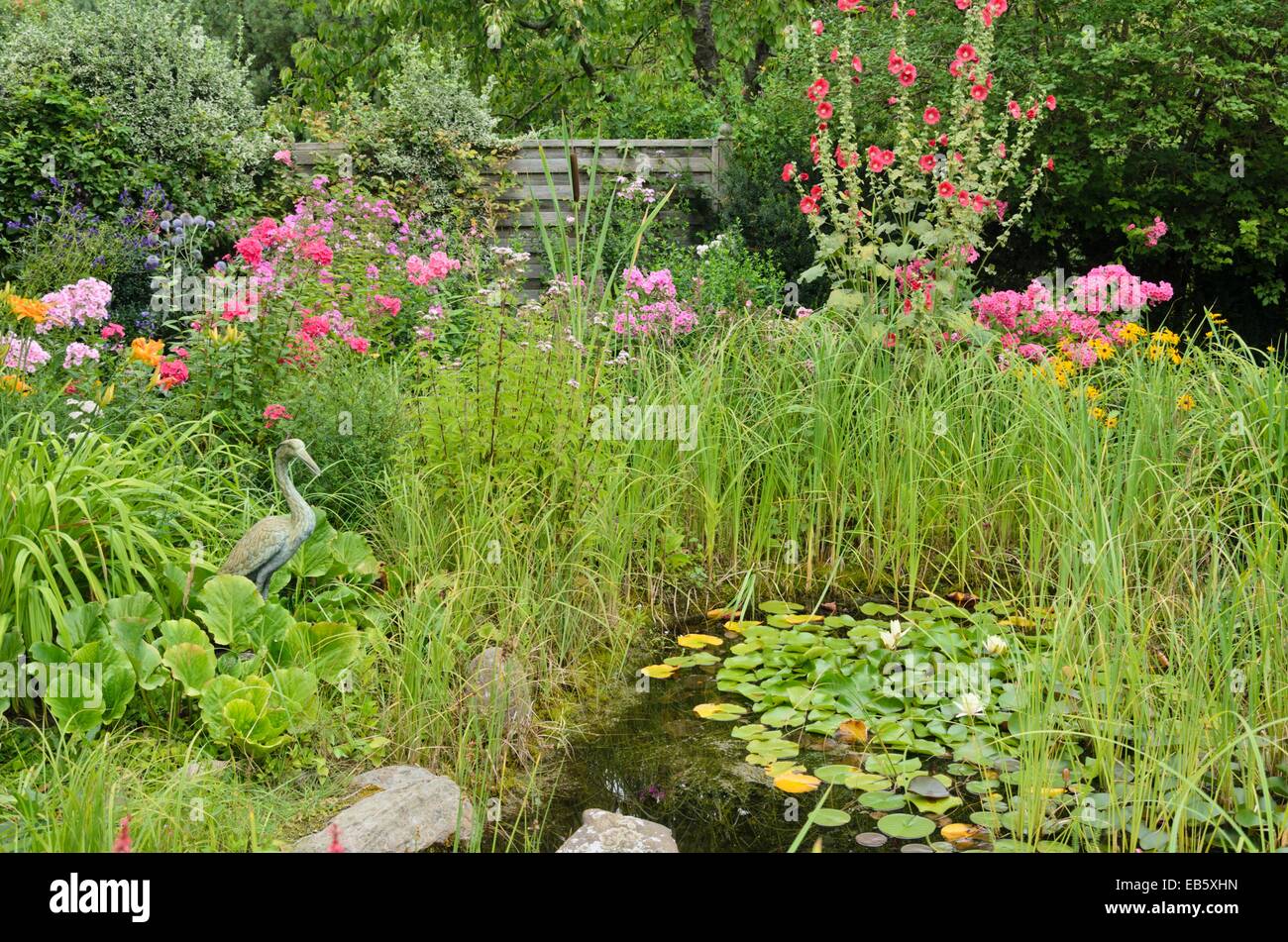 Garden phlox (Phlox paniculata), common hollyhock (Alcea rosea) and water lilies (Nymphaea) at a garden pond. Design: Marianne and Detlef Lüdke Stock Photo
