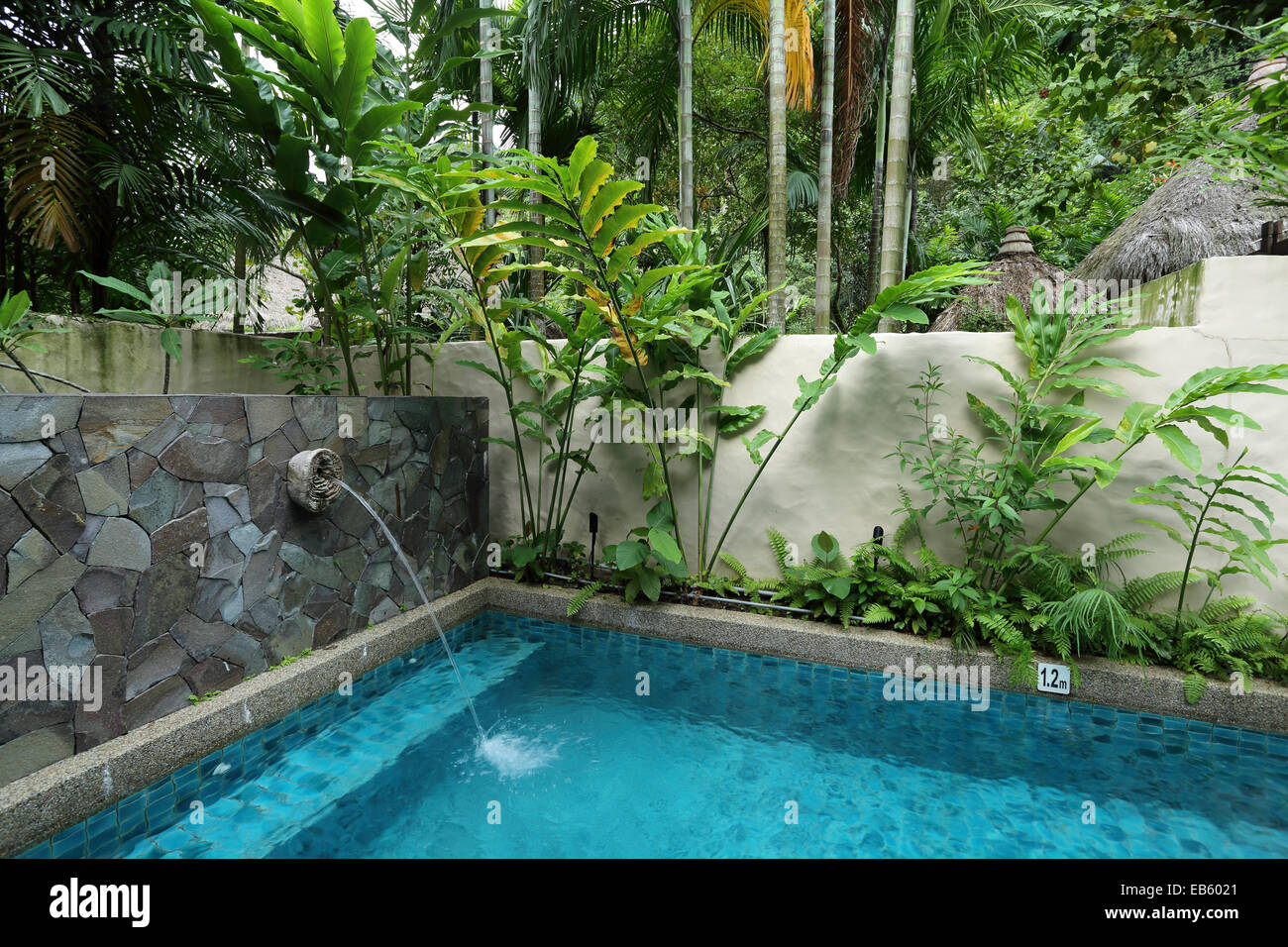 Pool private homestay ipoh with Villa Homestay