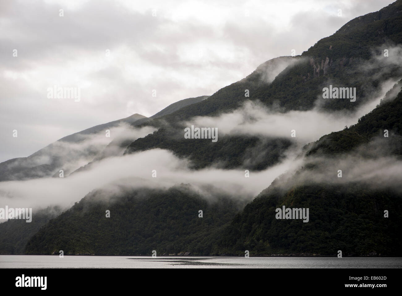 Moody fiordland, New Zealand Stock Photo Alamy