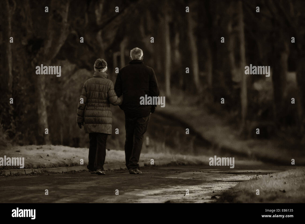 Seniors walking in the woods giving that hygge feeling Stock Photo