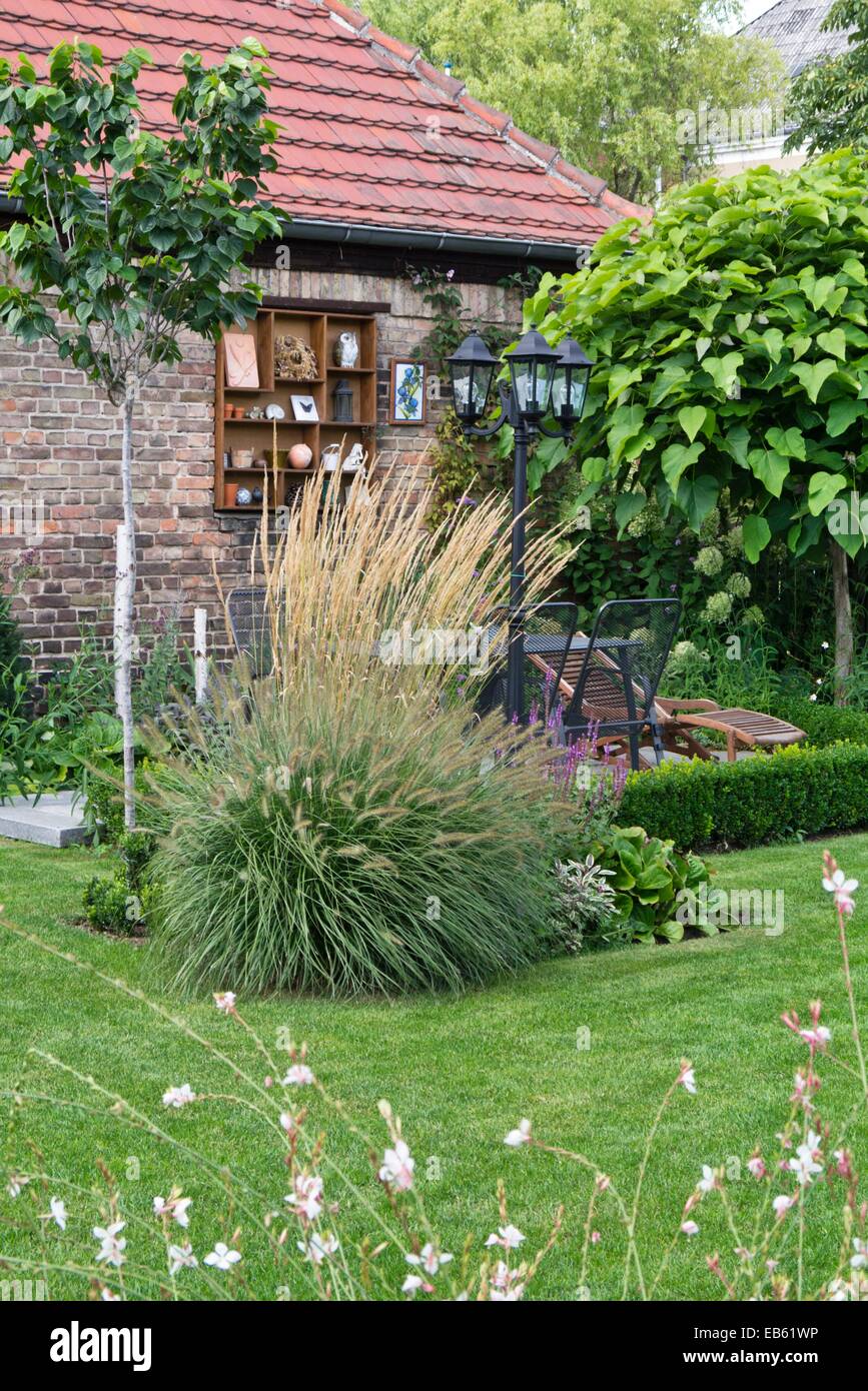 Dwarf fountain grass (Pennisetum alopecuroides) and reed grass