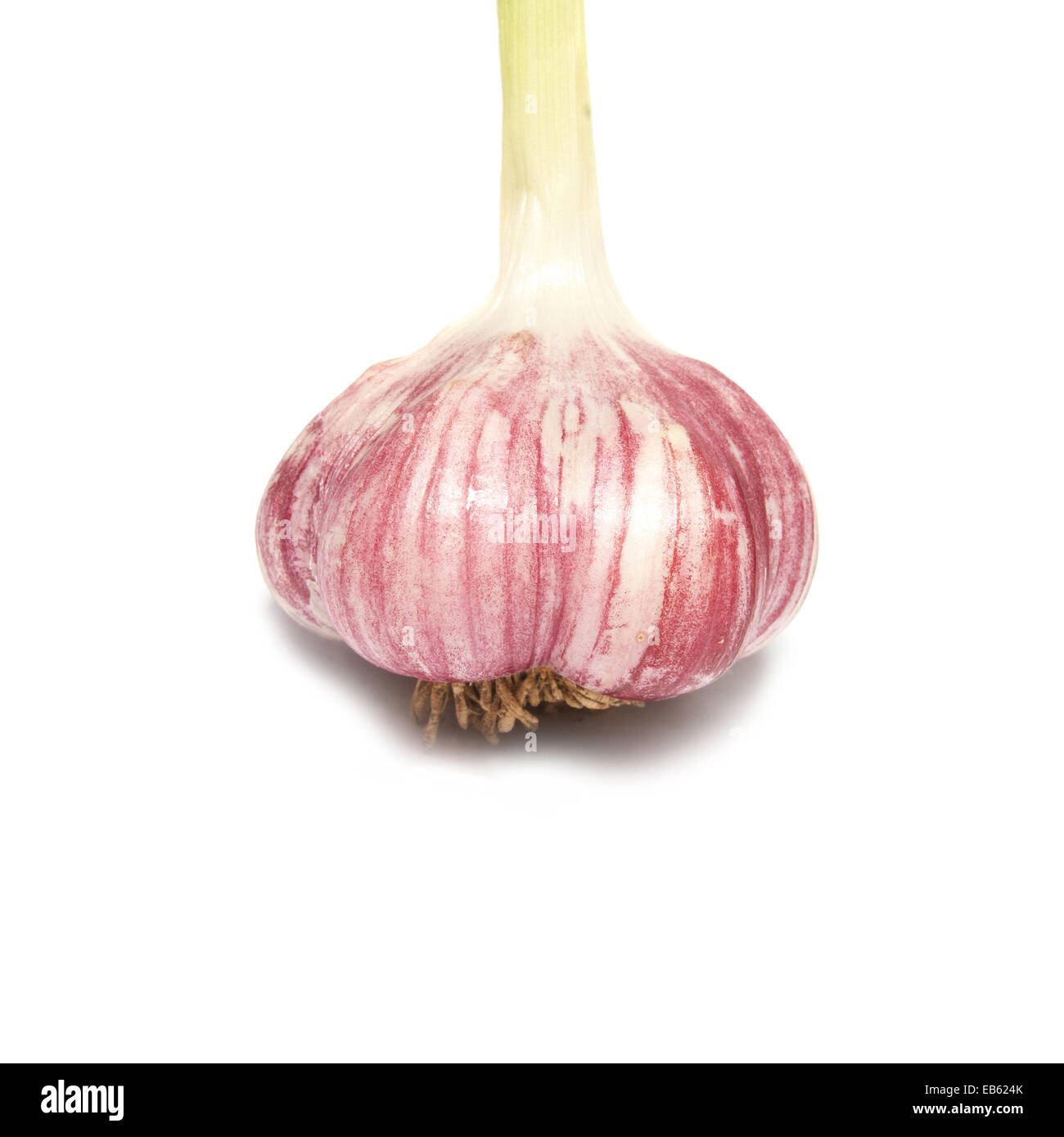 Garlic clove isolated on the white background Stock Photo - Alamy