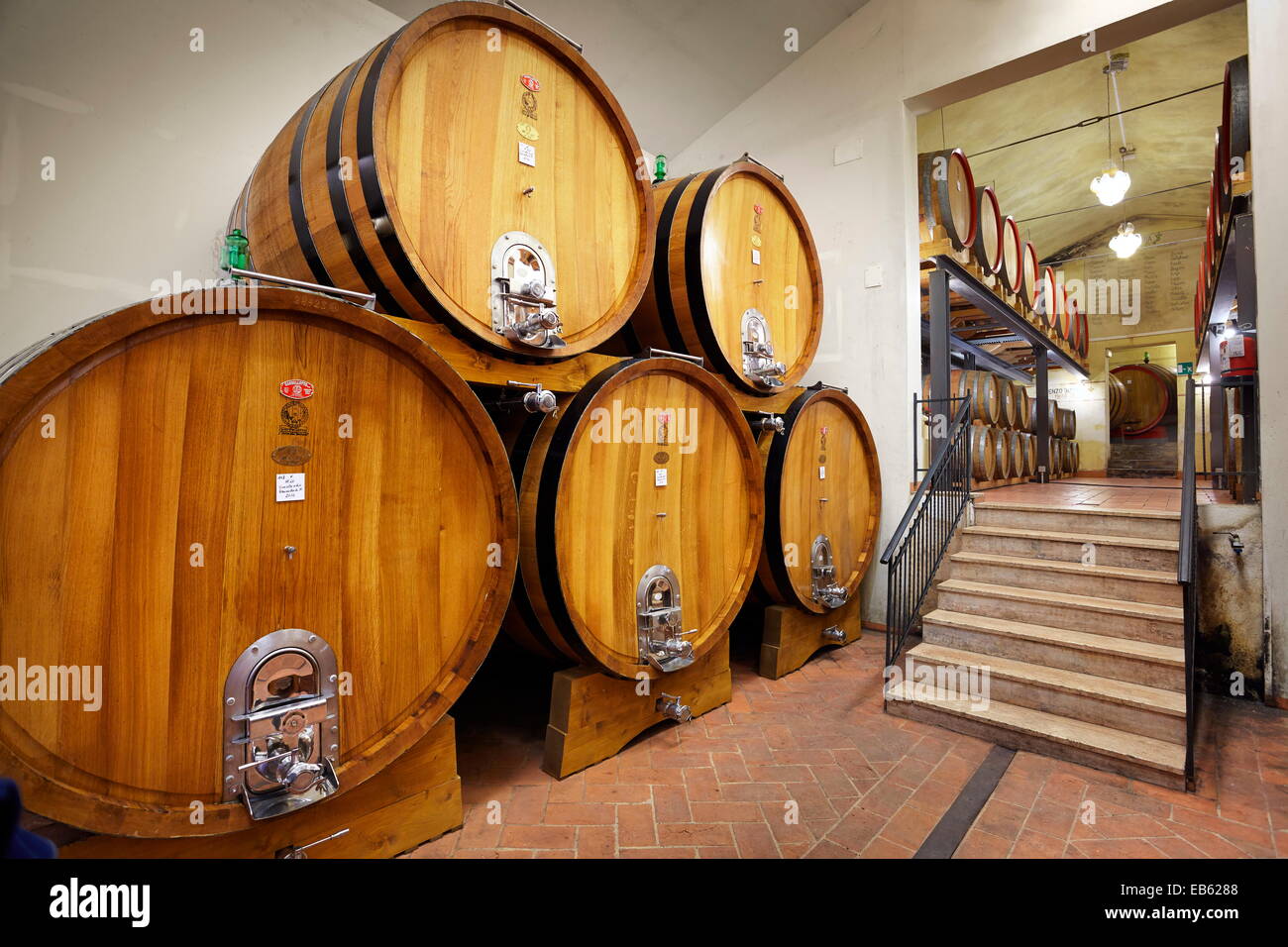 Wine barrels, Tuscany, Italy Stock Photo