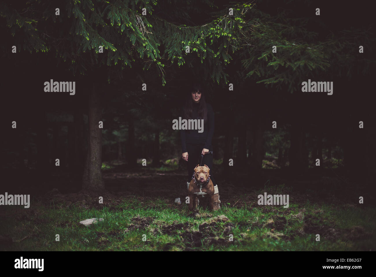 book covers Stock Photo Alamy