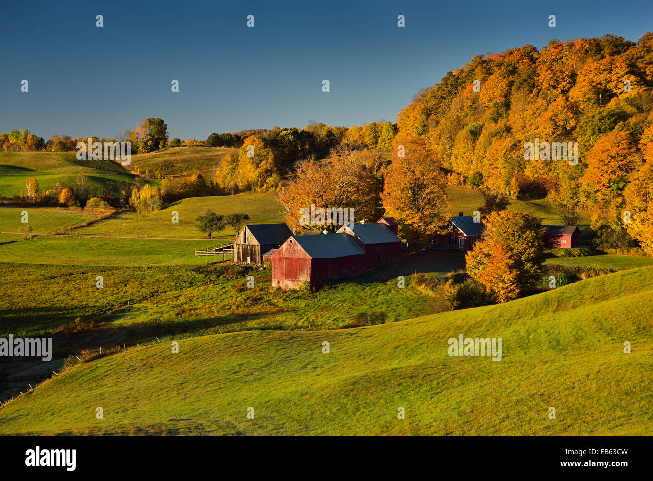 Rolling green fields at Jenne Farm in Reading Vermont USA with trees in colorful Fall foliage at