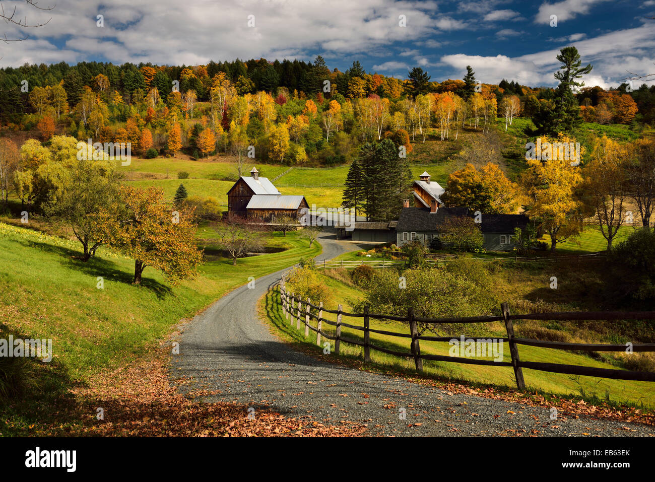 Bright Fall leaves around Sleepy Hollow Farm on Cloudland Road Woodstock Vermont USA Stock Photo