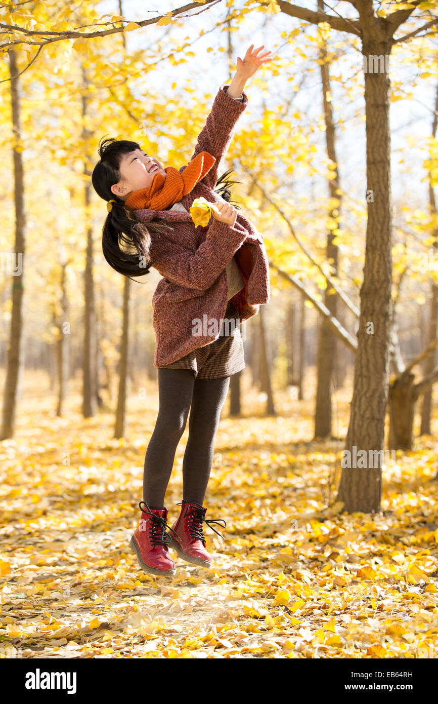 Little girl picking leaves from tree Stock Photo Alamy