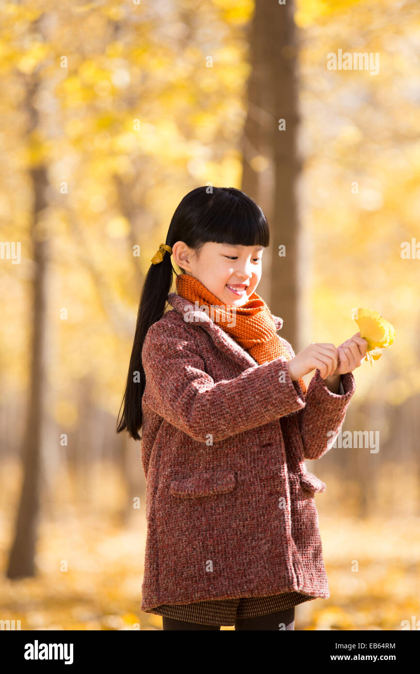 Little girl playing with autumn leaves Stock Photo - Alamy
