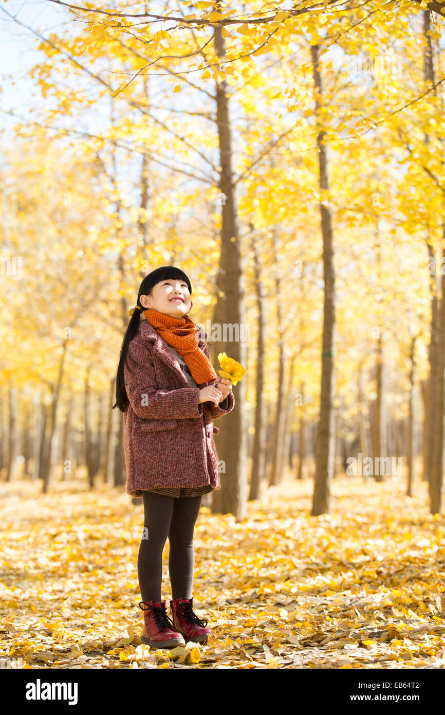 Little girl playing with autumn leaves Stock Photo - Alamy