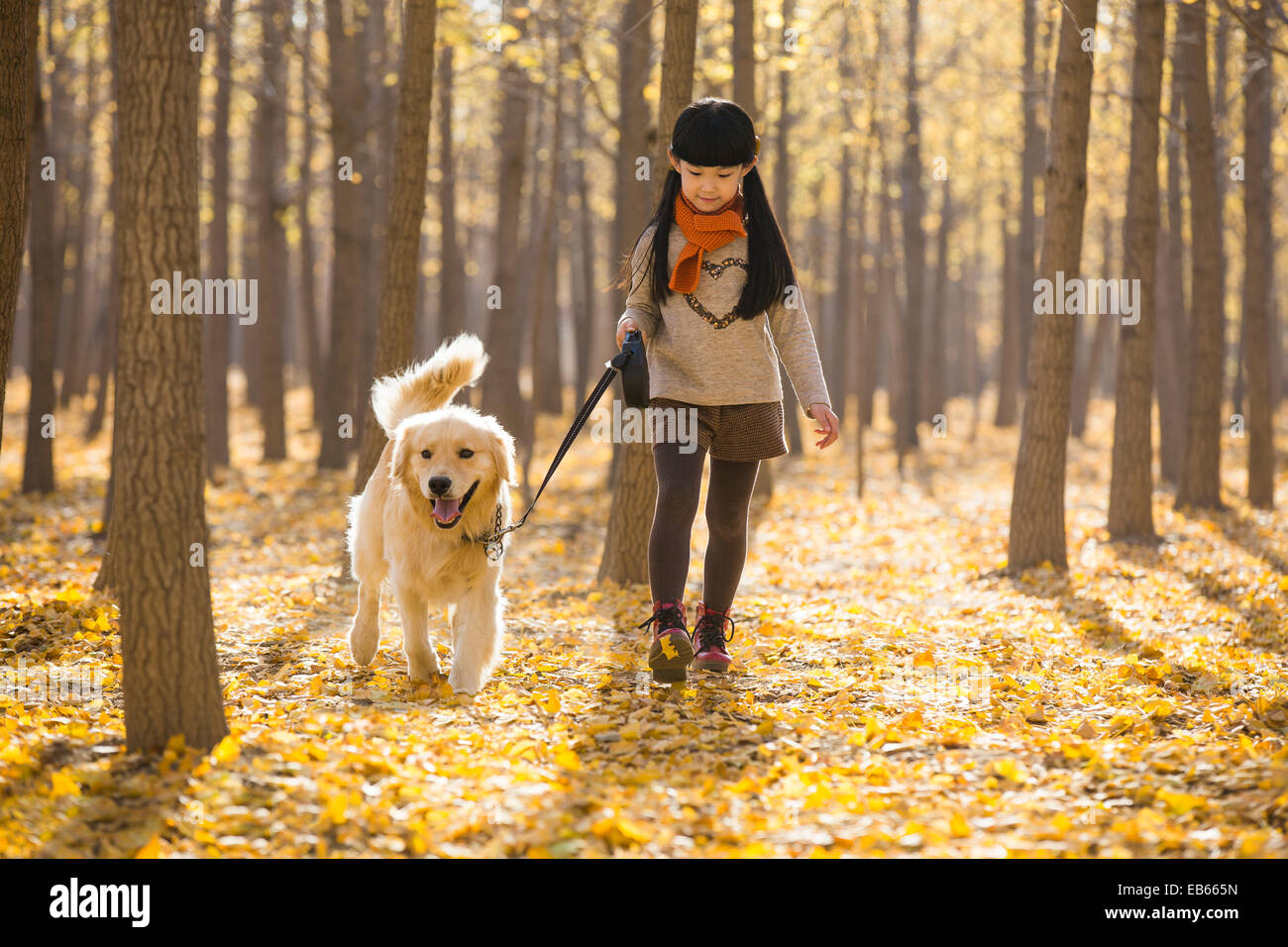 Little girl walking with dog in autumn woods Stock Photo - Alamy