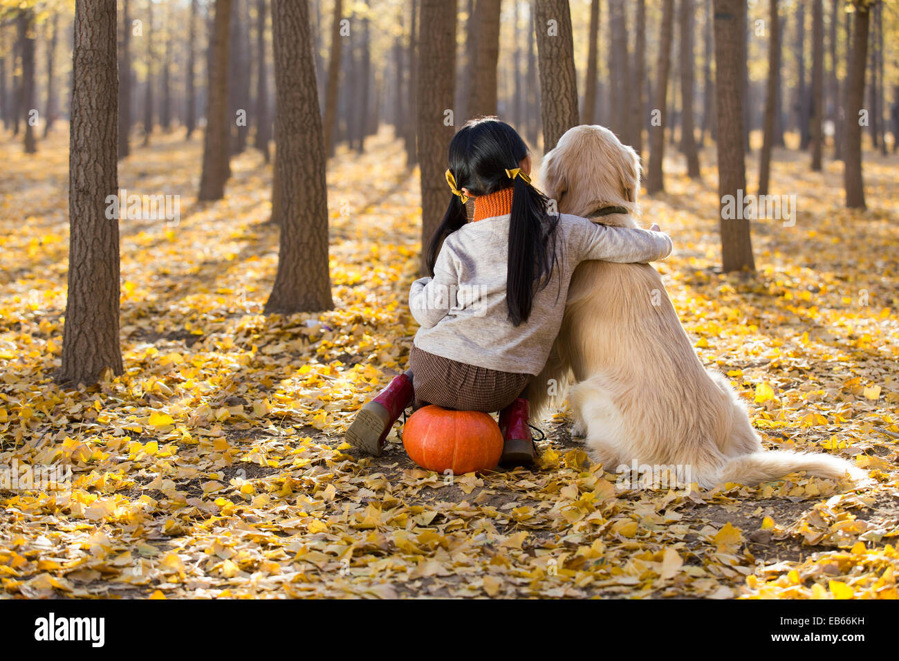 Little girl playing with dog in autumn woods Stock Photo - Alamy