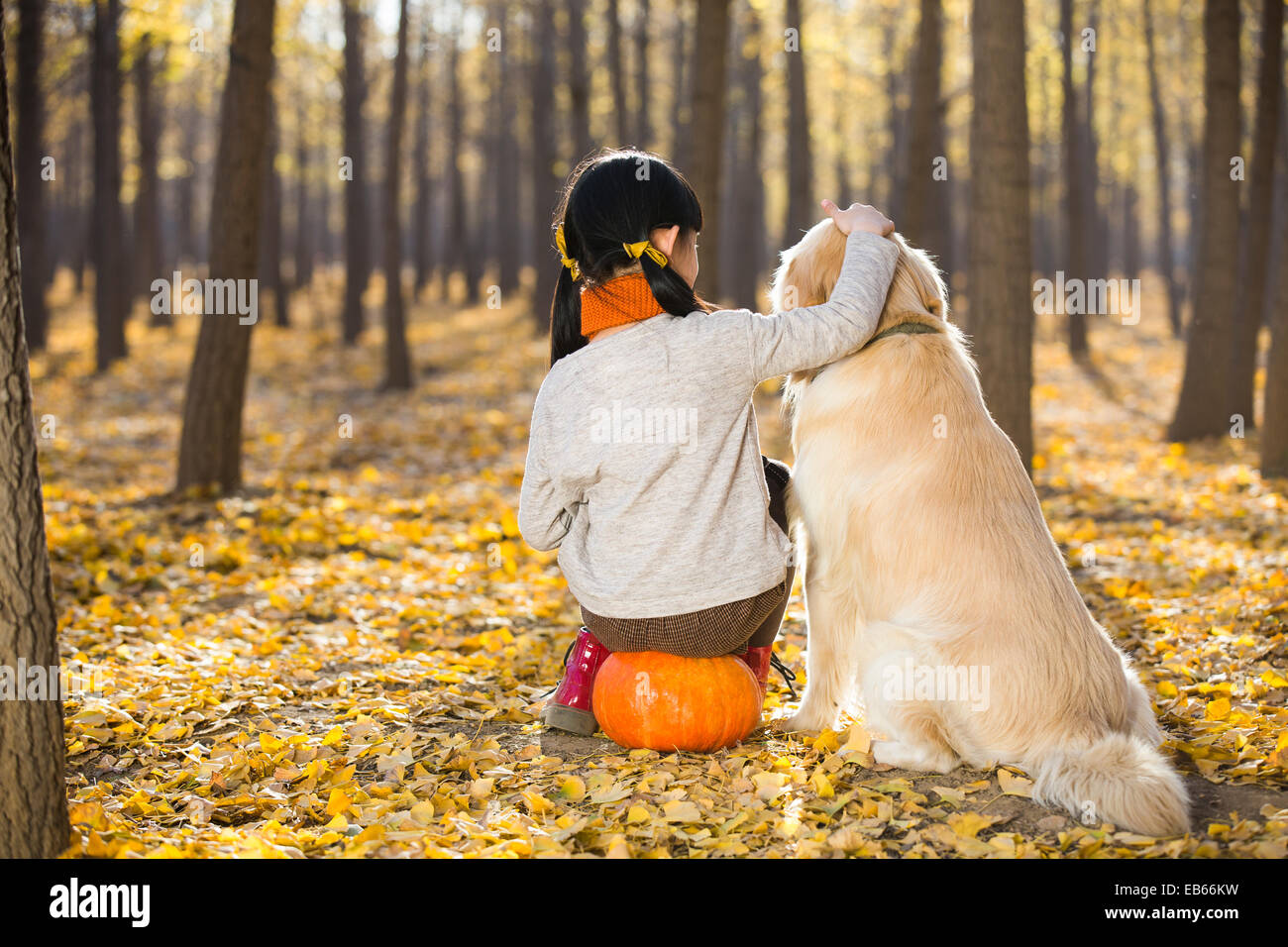 Little girl playing with dog in autumn woods Stock Photo - Alamy