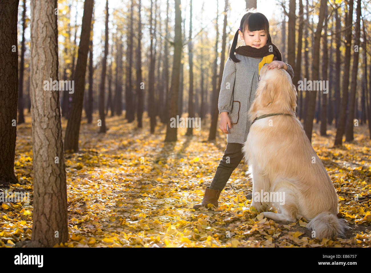 Little girl playing with dog in autumn woods Stock Photo - Alamy