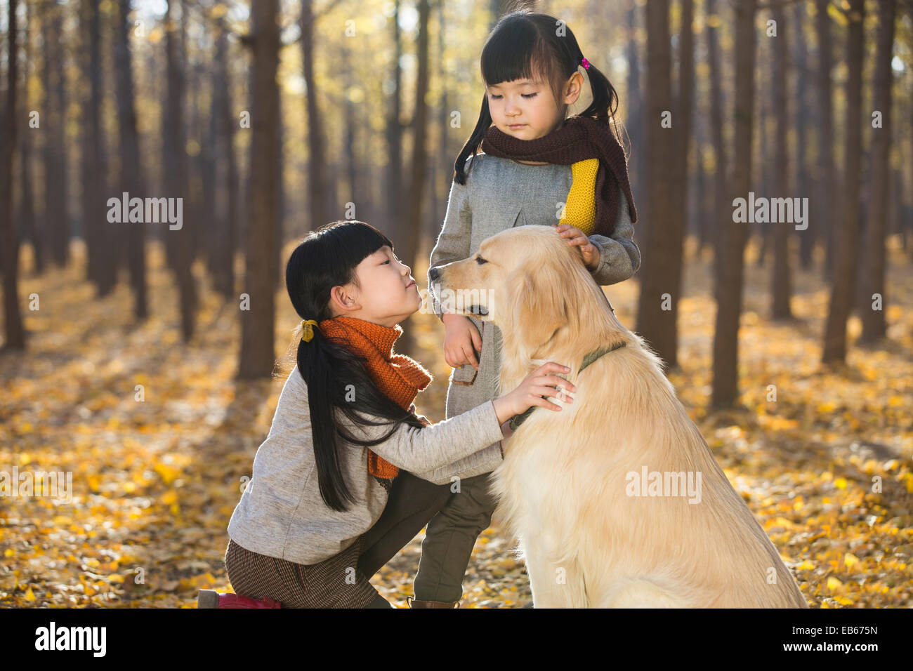 Little girls playing with dog in autumn woods Stock Photo