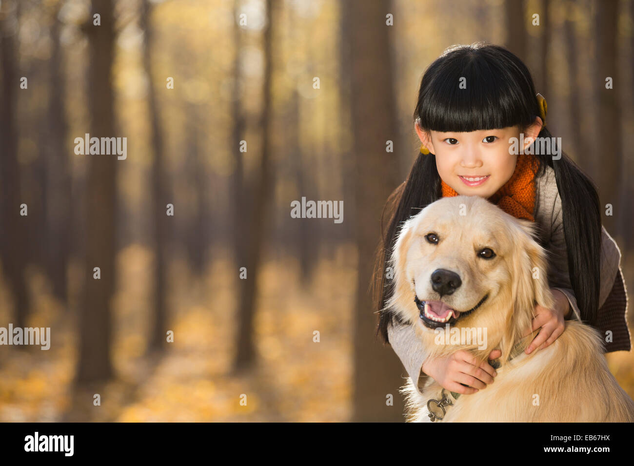 Little girl playing with dog in autumn woods Stock Photo - Alamy