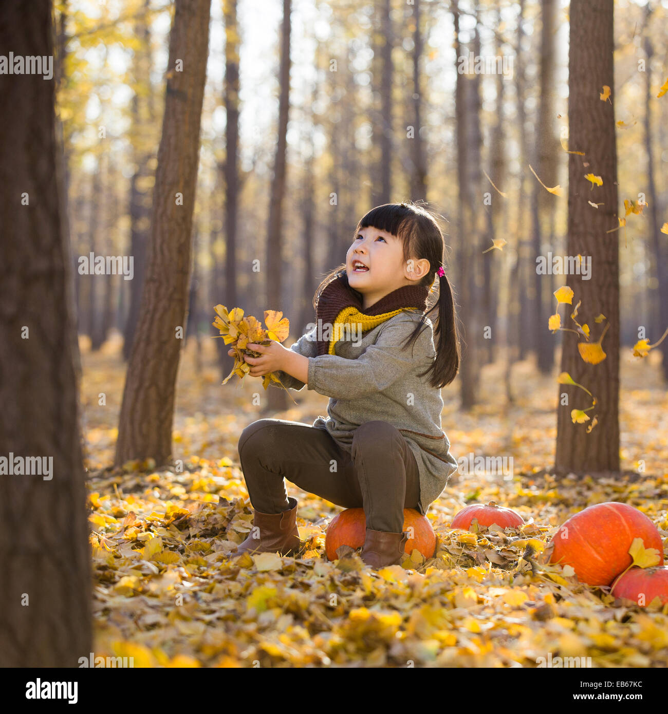Two children playing with leaves in autumn woods Stock Photo - Alamy
