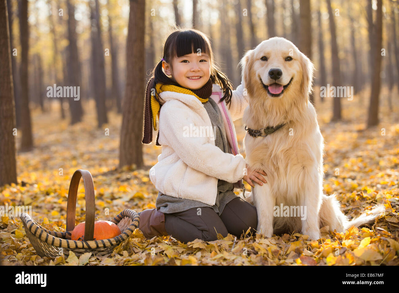 Little girl playing with dog in autumn woods Stock Photo - Alamy