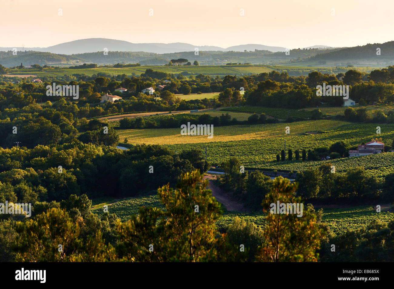 Typical French Provence rural landscape in summer at sunset Stock Photo