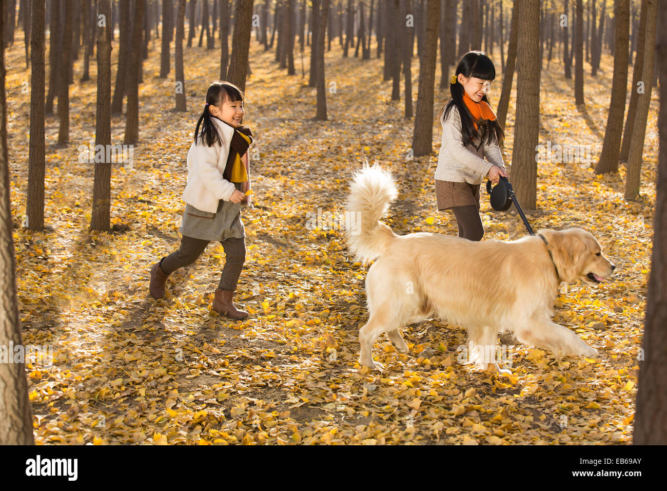 Happy girls playing with dog in autumn woods Stock Photo - Alamy