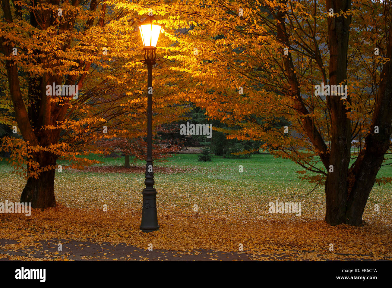 Lamppost in the park, light, evening mood, Autumn Stock Photo
