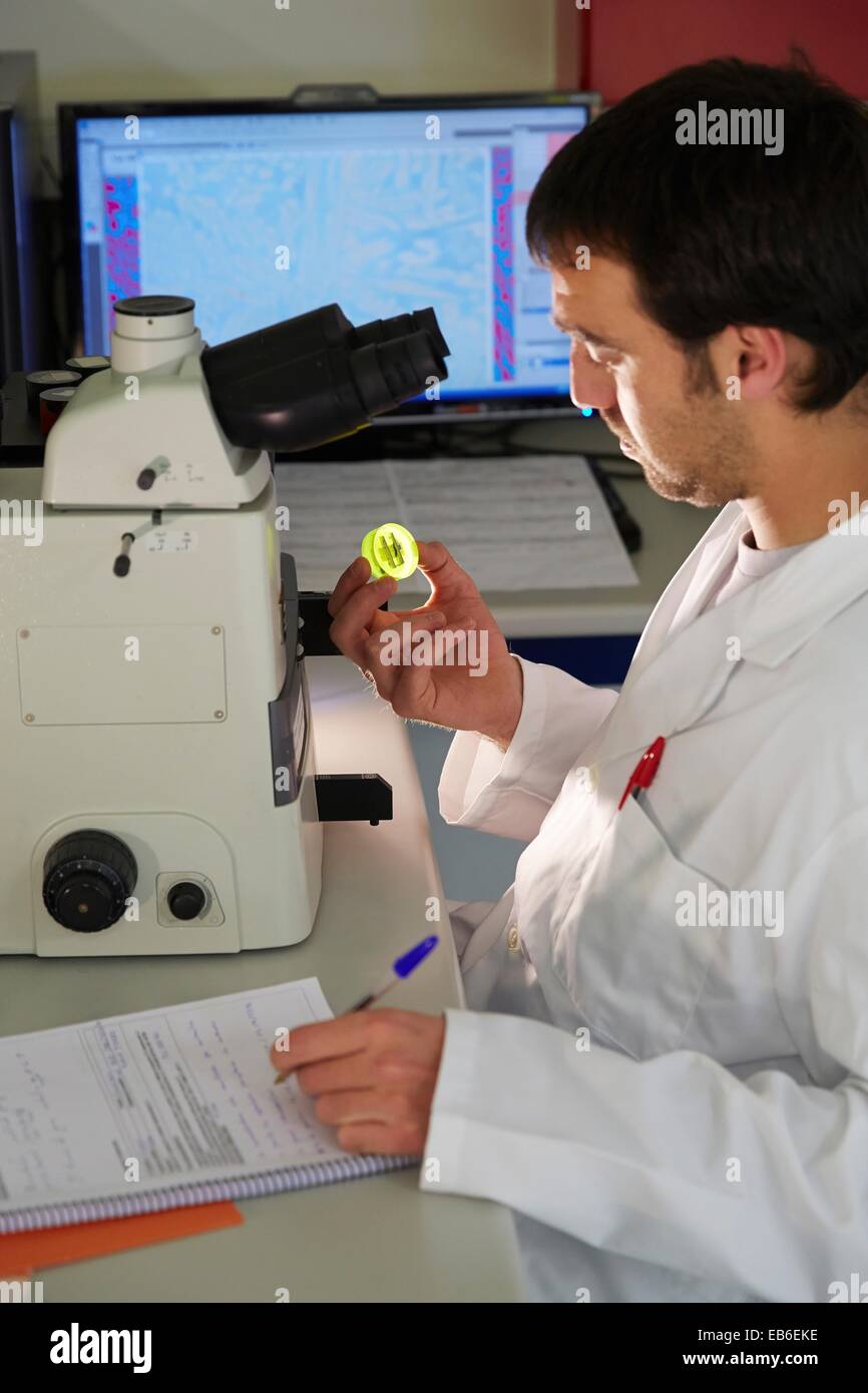 Analysis embedded samples Optical microscopy Characterization test and analyze materials and components Technological Services Stock Photo