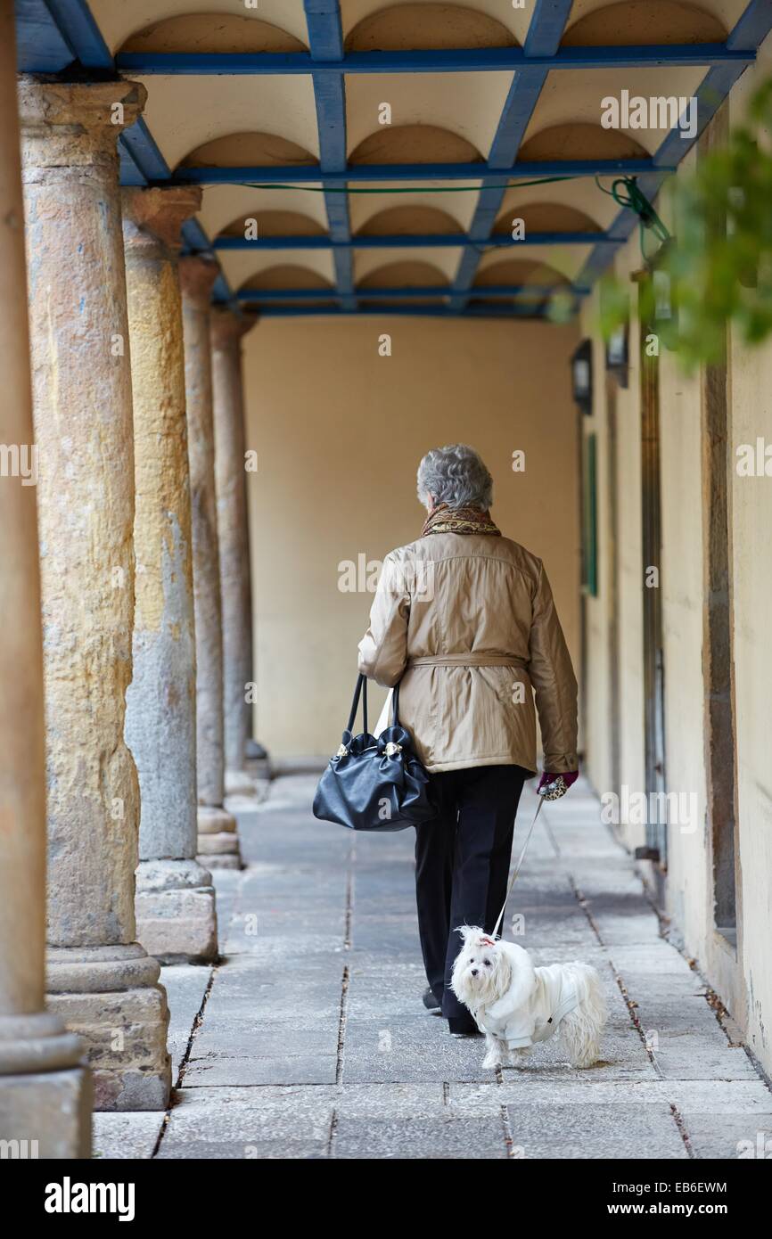Lady Walking Her Dog High Resolution Stock Photography and Images - Alamy