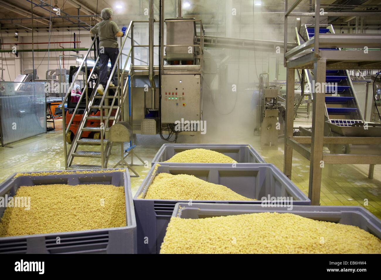 Bean bottling Production line canned vegetables and beans Canning