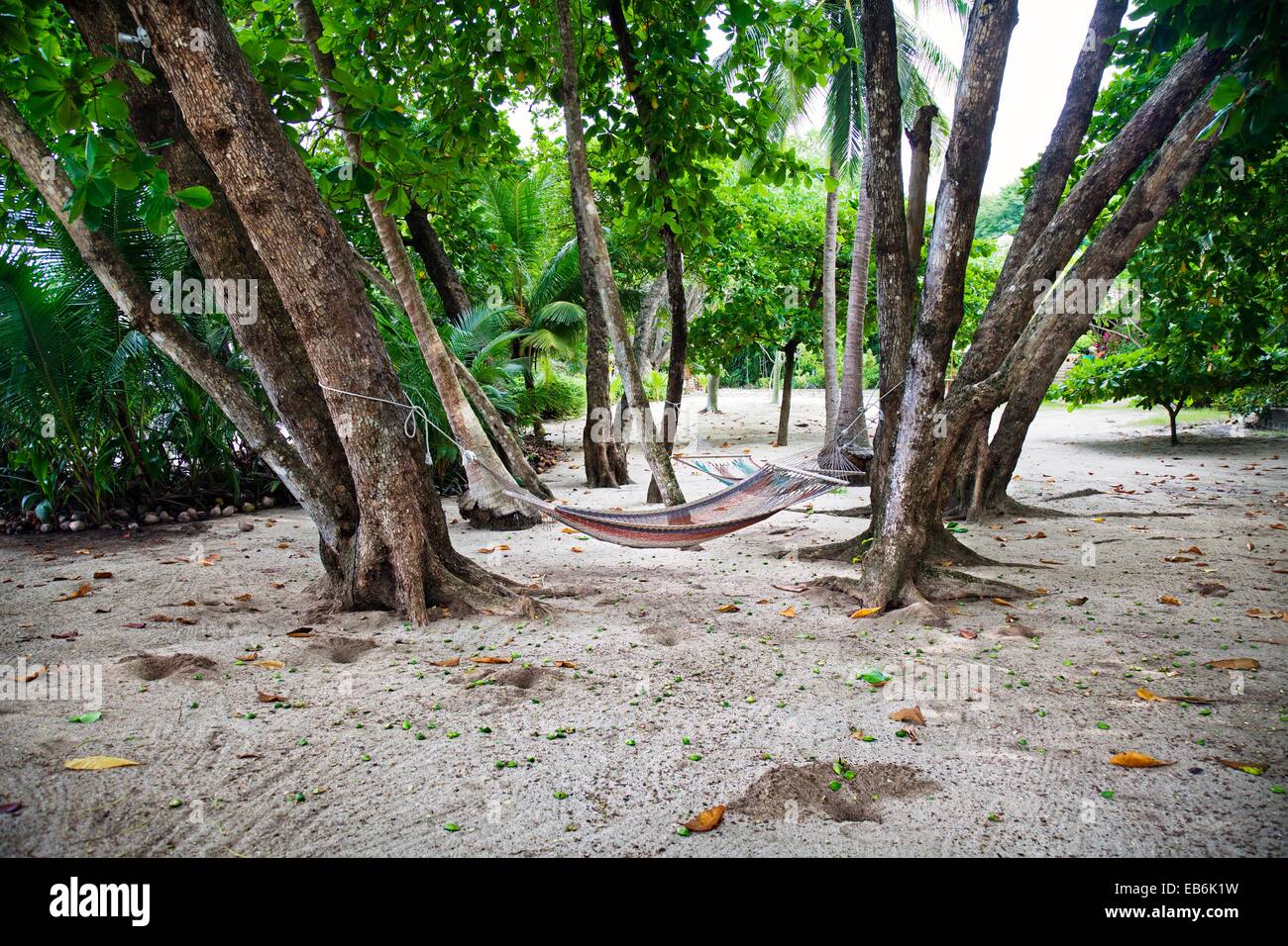 Carmen beach, Nicoya Peninsula, Costa Rica. Stock Photo